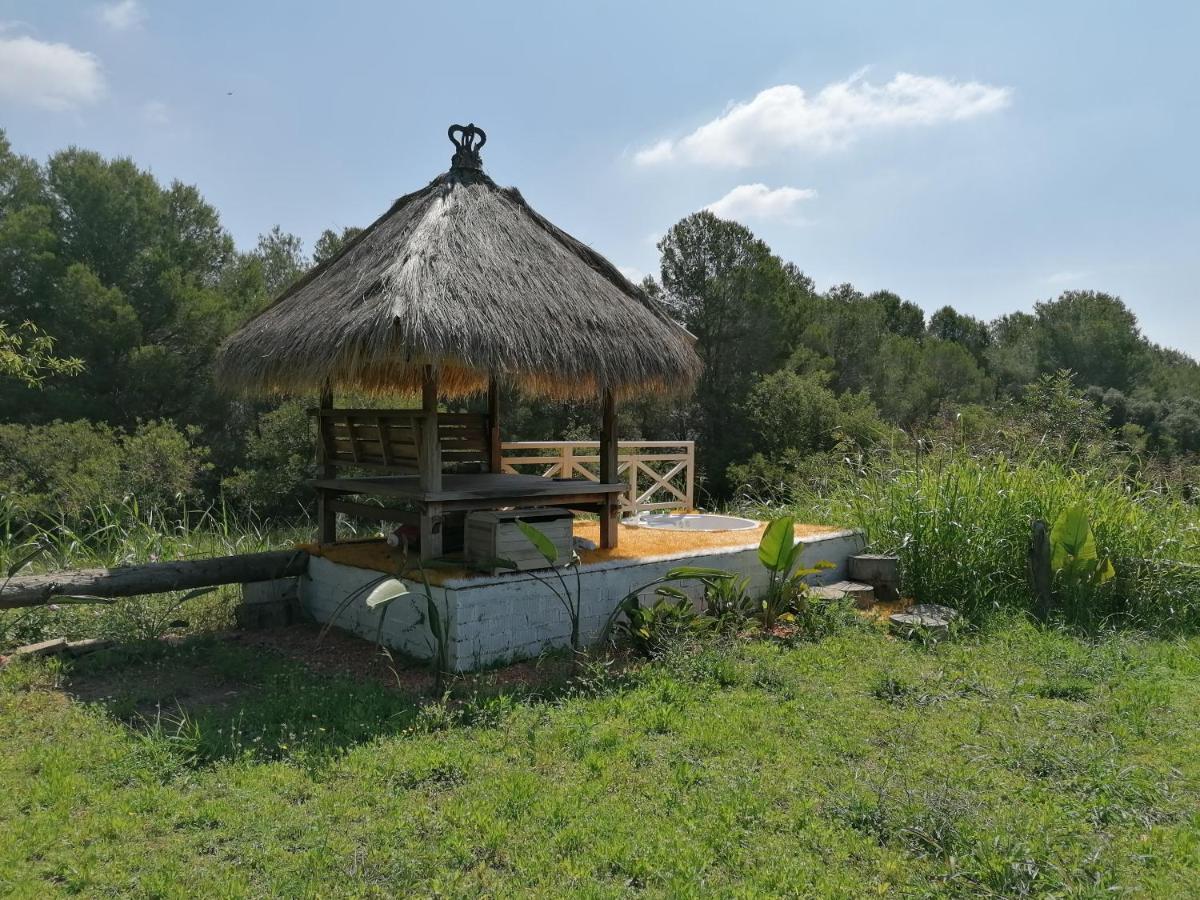 Gasthaus Chilliman & Mas Miro Biofarm Catllar Exterior foto