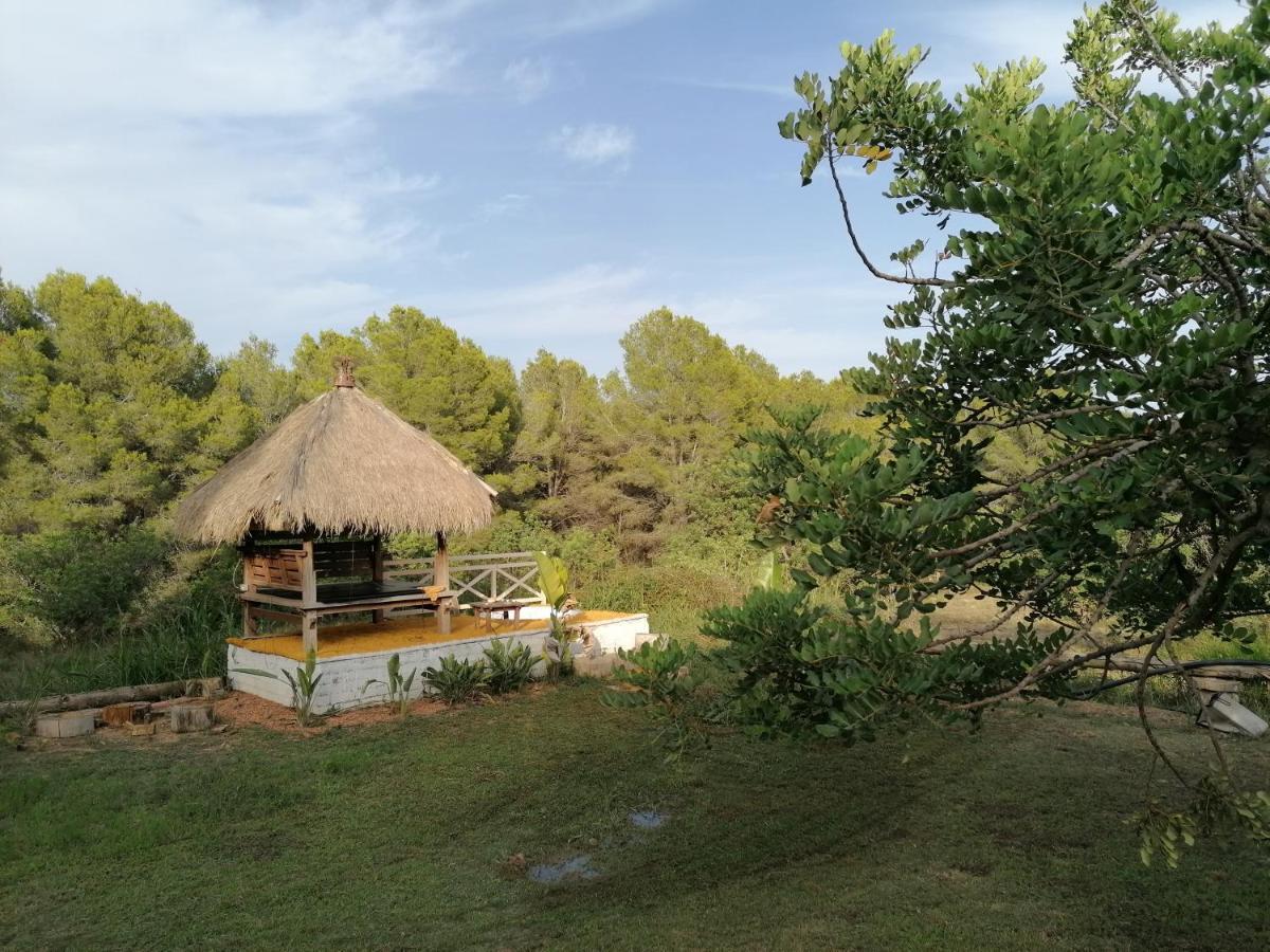 Gasthaus Chilliman & Mas Miro Biofarm Catllar Exterior foto